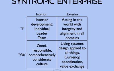 The Answer to Our Meta-Crisis: Six Critical Ingredients for a Syntropic World
