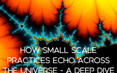 How Small Scale Practices Echo Across the Universe – A Deep Dive into Syntropy