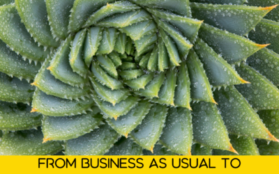 From business as usual to enterprise for all-life flourishing – a Syntropic World
