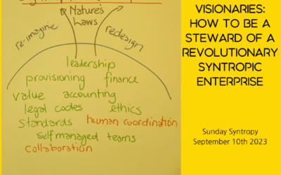 🌟 Beyond Visionaries: How to Be a Steward of a Revolutionary Syntropic Enterprise 🌱