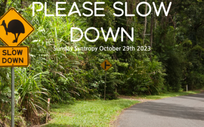 To speed up please slow down