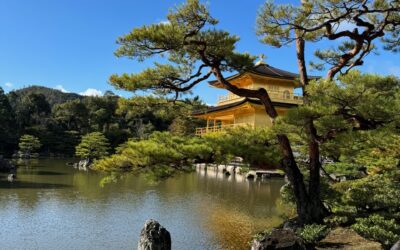 Harmony order and self-development