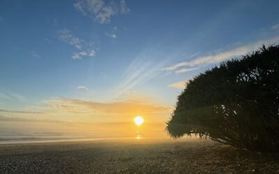 Life is eternally emergent