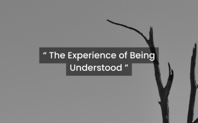 The experience of being understood