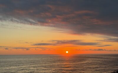 Bringing women to every table