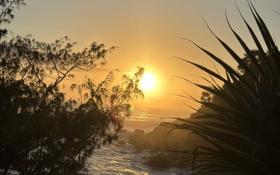 Letting go of communities
