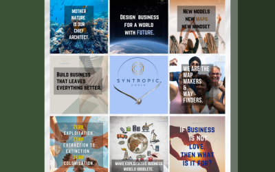 Revolutionising Business: The Syntropic Enterprise Explained