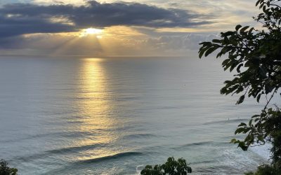Be seen