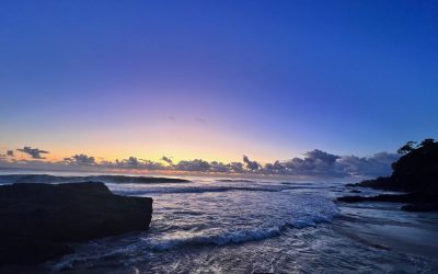 To be in the ocean is to swim in tears