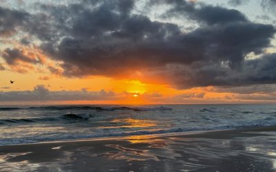 Finding the humanity behind the chaos