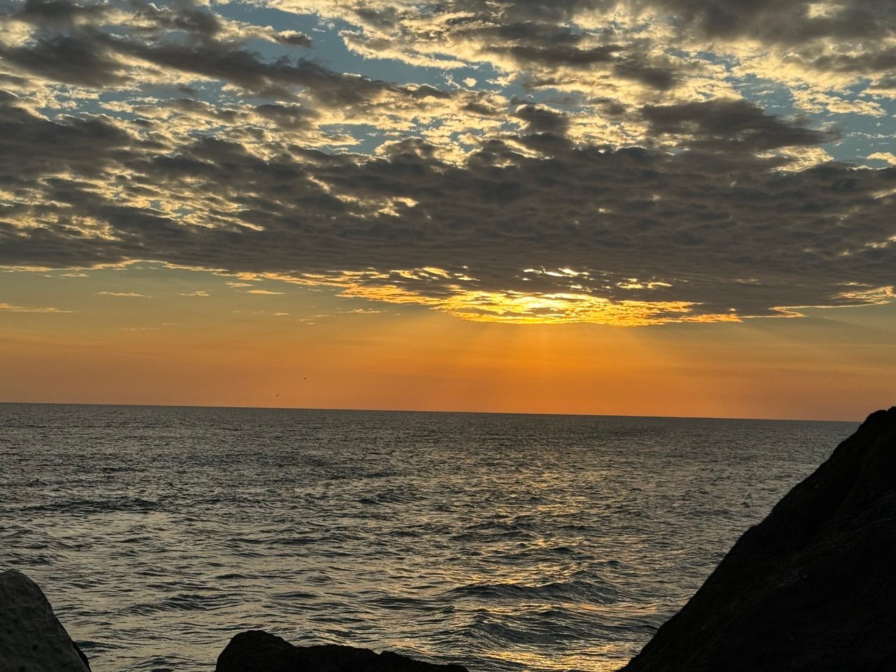 page10_img2