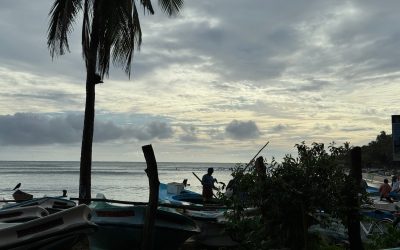 Elephants, surfing and staying young