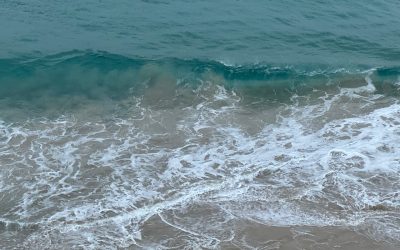 Out of the sea of emotions