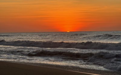 Earning trust