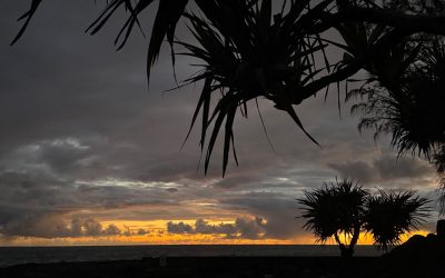 How to Participate in a Syntropic World
