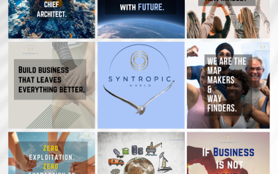 6 key’s to Create a Syntropic EnterpriseÂ