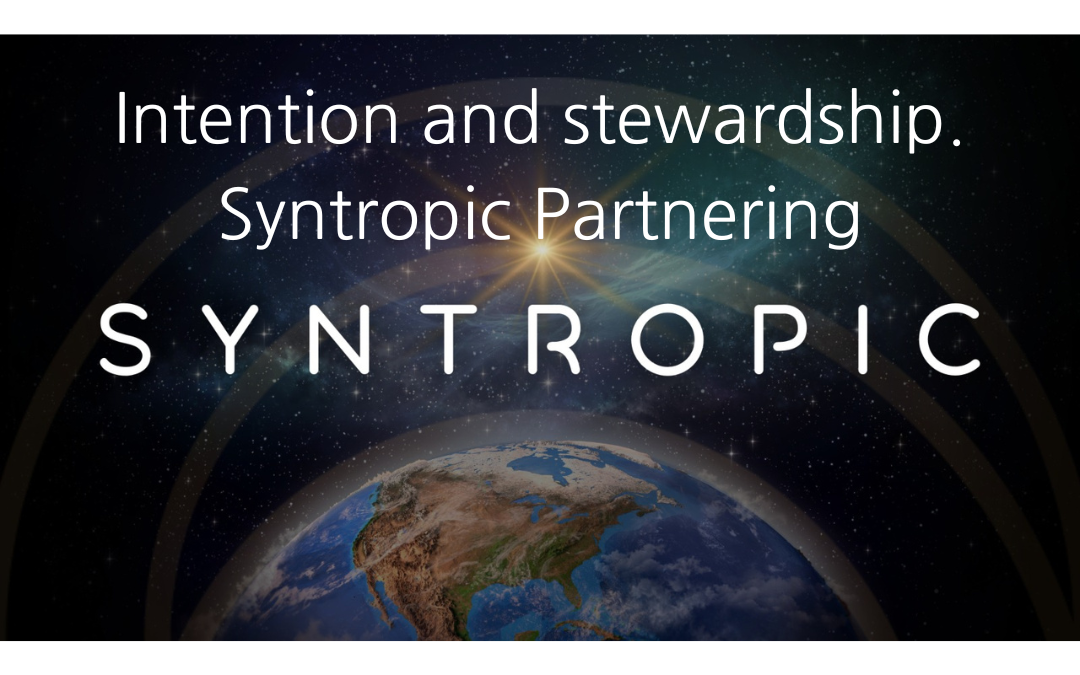 Intention and stewardship. Syntropic Partnering