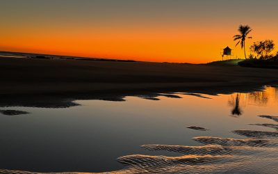 Five polarities to design into governance for wisdom and synergy