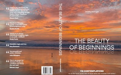 I wrote a book…