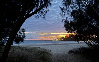 Dawn is free