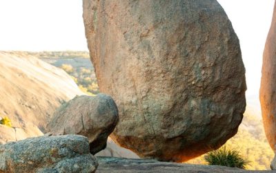 Building a Syntropic Foundation