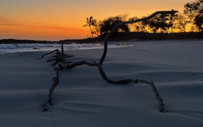 Rebuilding a life in the midlife zone