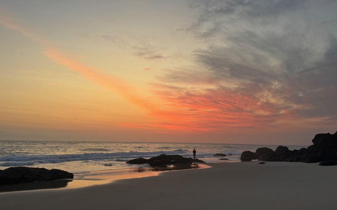 How success can kill creativity in business – in 7 metaphorical days