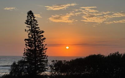 Gloating is not how we find peace