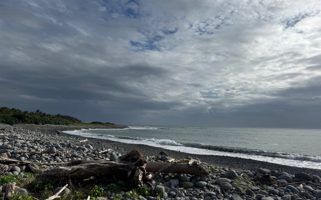 Lessons in Syntropy from surfing