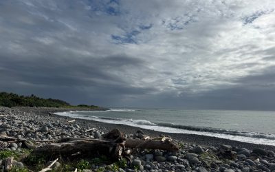 Lessons in Syntropy from surfing