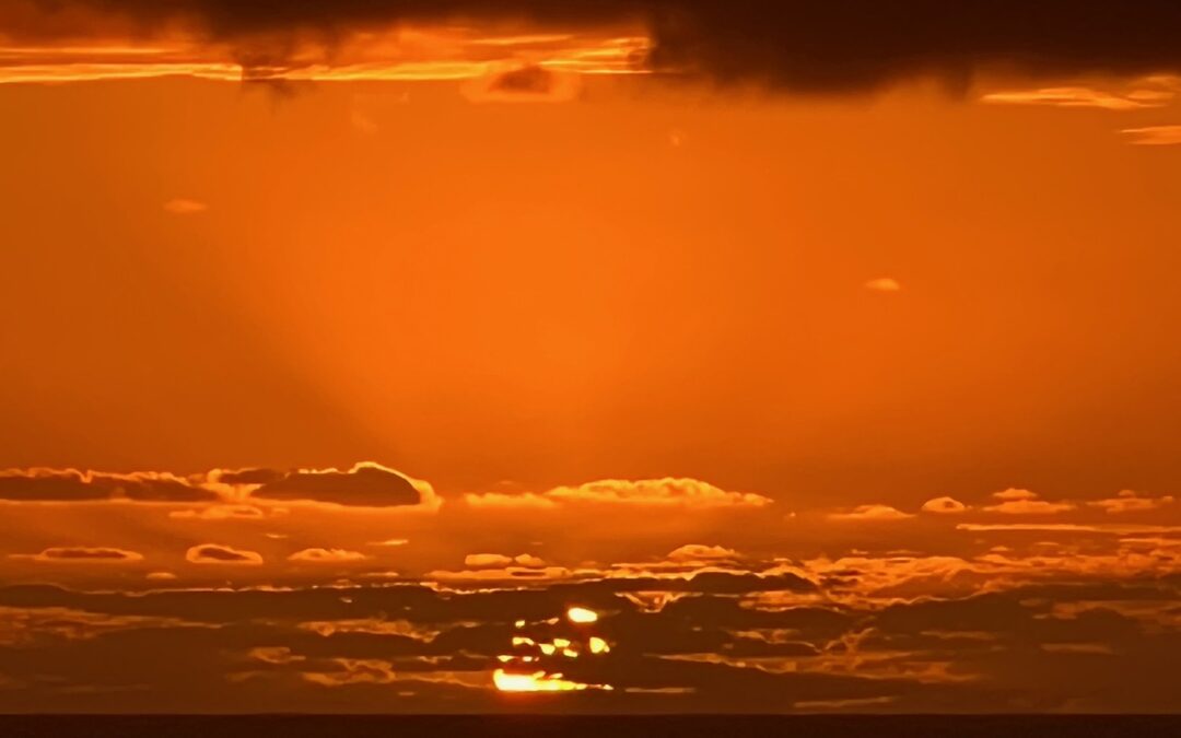 Planet Earth, you are a crew