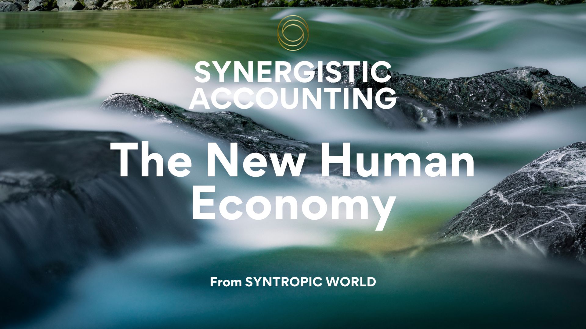Synergistic Accounting page 1.pdf