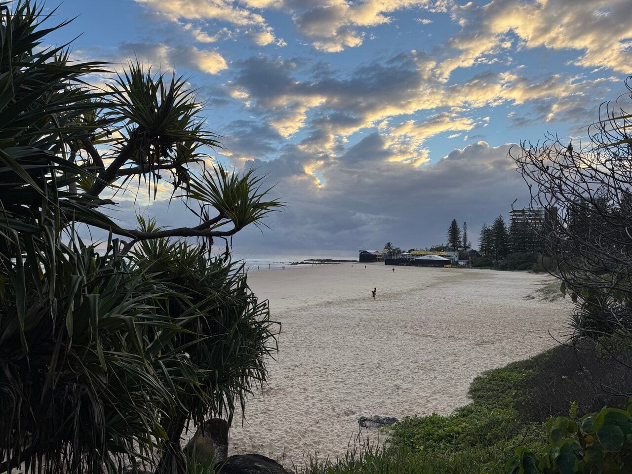Tropical beach scene with green palm branches framing a wide sandy shore and blue sky with fluffy clouds, calm sea in the distance.