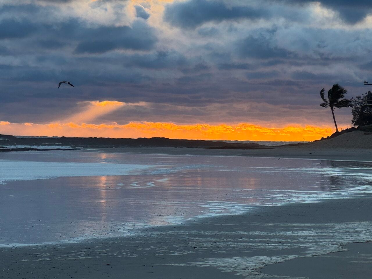 Sunset over a beach with an orange glow on the horizon, dark clouds, a bird in the sky, and a palm tree on the right.