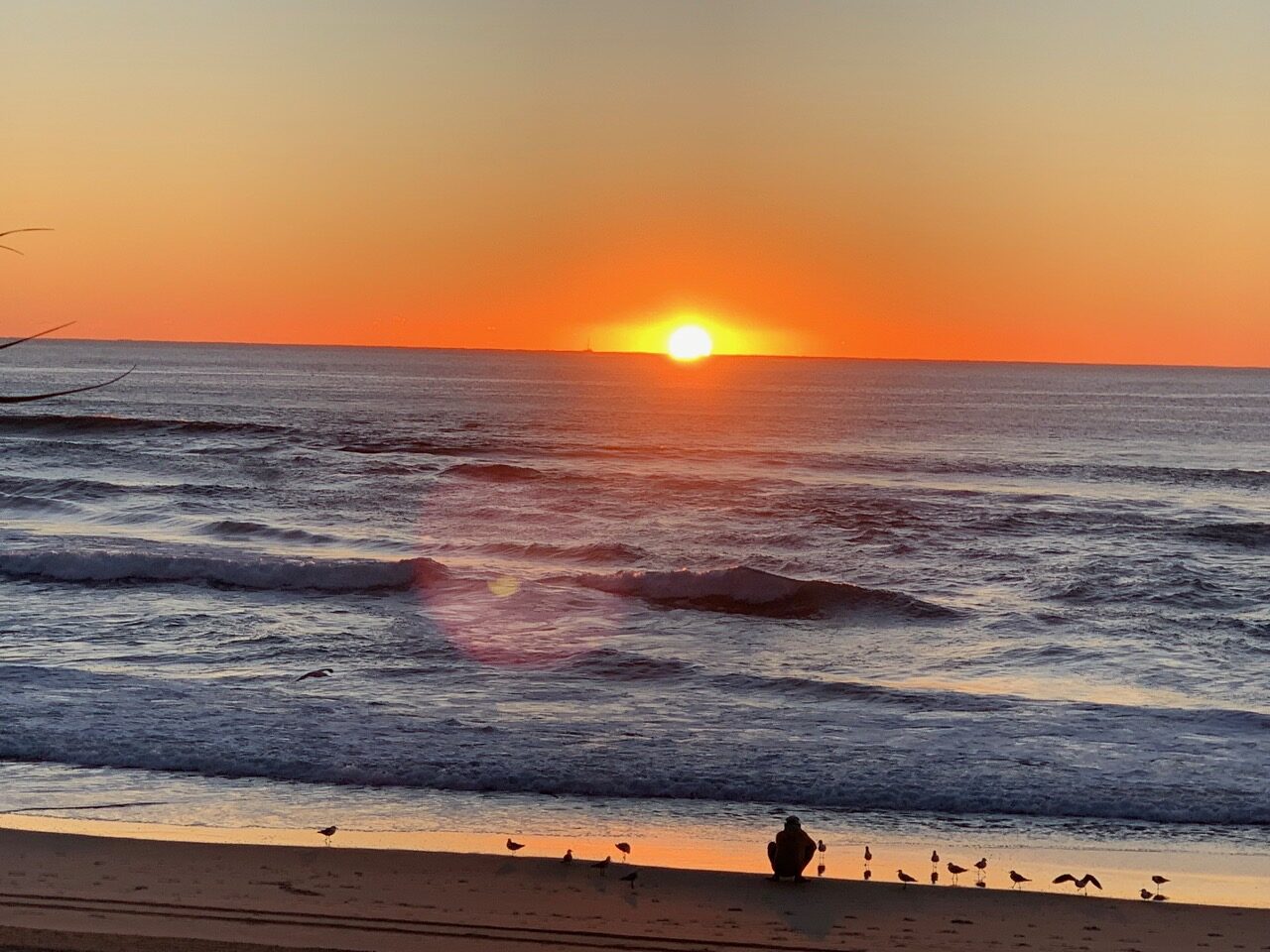 Sunset over the ocean with an orange sky, gentle waves, and a person sitting on the beach among seagulls.