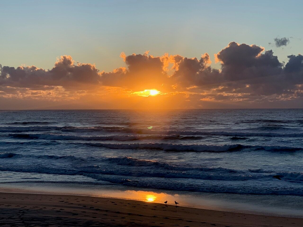 Sunset over the ocean at a sandy beach; orange sun near the horizon, waves rolling in, and two birds on the wet shore.