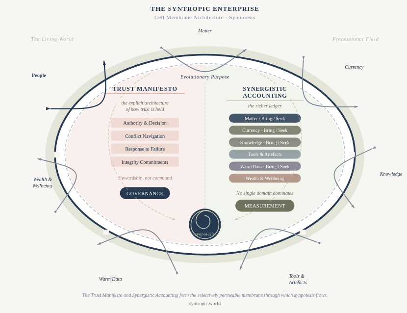 Circular infographic titled The Syntropic Enterprise; left side shows Trust Manifesto (Governance) and right side Synergistic Accounting (Measurement) with flow arrows and labels like People, Wealth & Wellbeing, Knowledge, Currency, Warm Data.