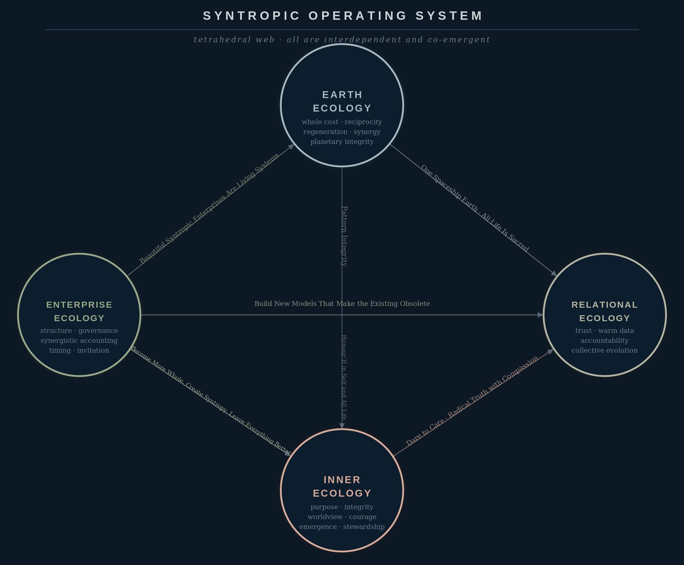 Diagram of a synoptic operating system with three interconnected ecology circles: Enterprise Ecology, Relational Ecology, and Inner Ecology, connected to a central Earth Ecology.
