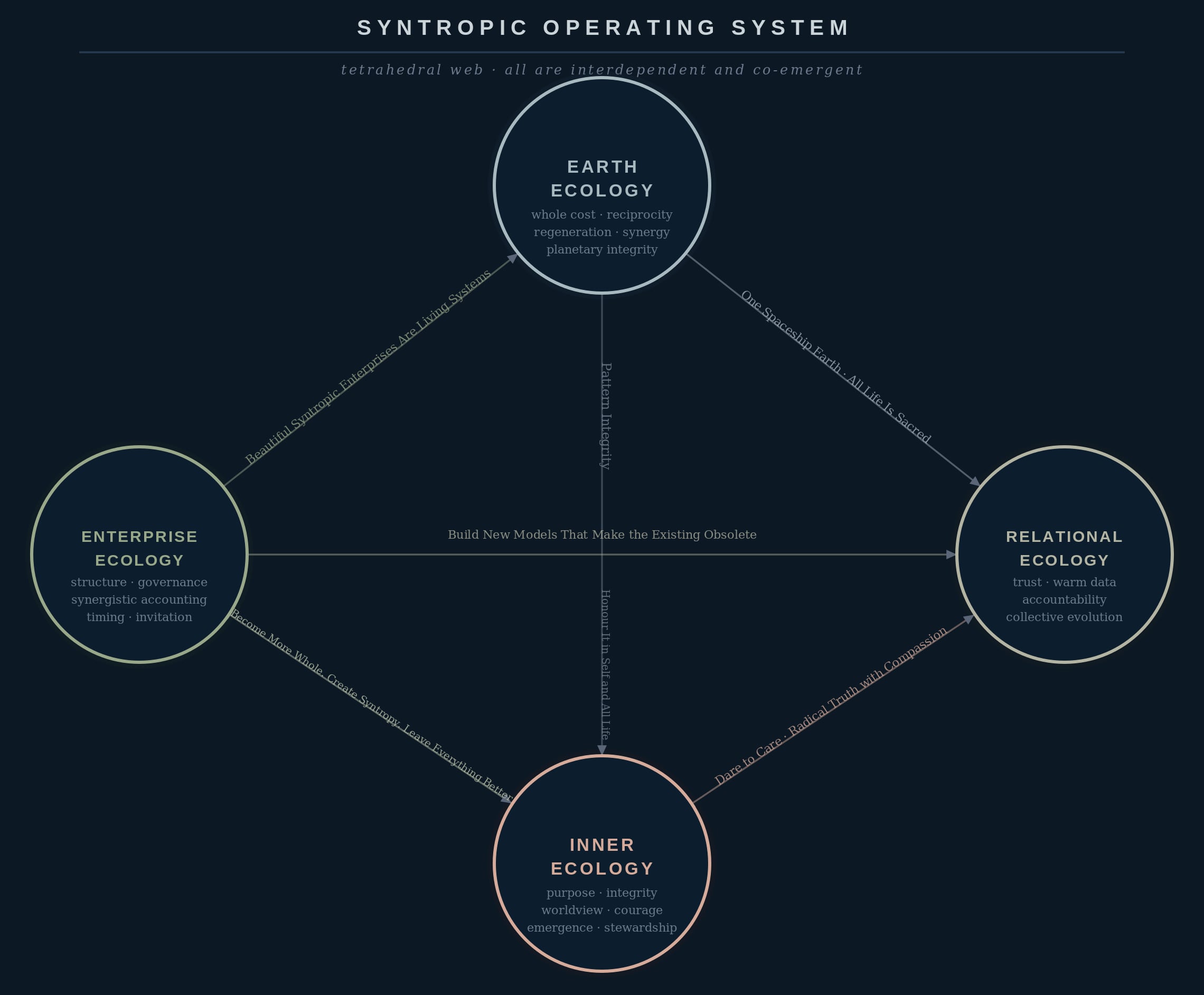 Diagram of a synotropic operating system with interconnected circles labeled Enterprise Ecology, Inner Ecology, Relational Ecology and Earth Ecology, showing interdependent systems.
