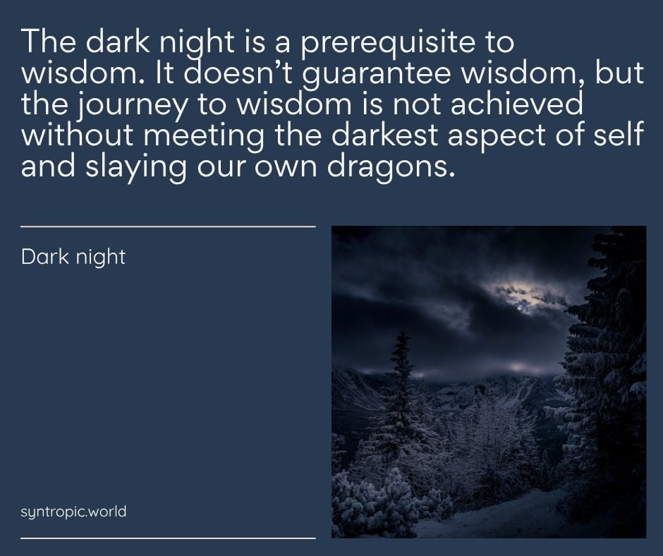 Quote graphic on a dark blue background: “The dark night is a prerequisite to wisdom. It doesn’t guarantee wisdom, but the journey to wisdom is not achieved without meeting the darkest aspect of self and slaying our own dragons.” with a snowy night forest image on the right.