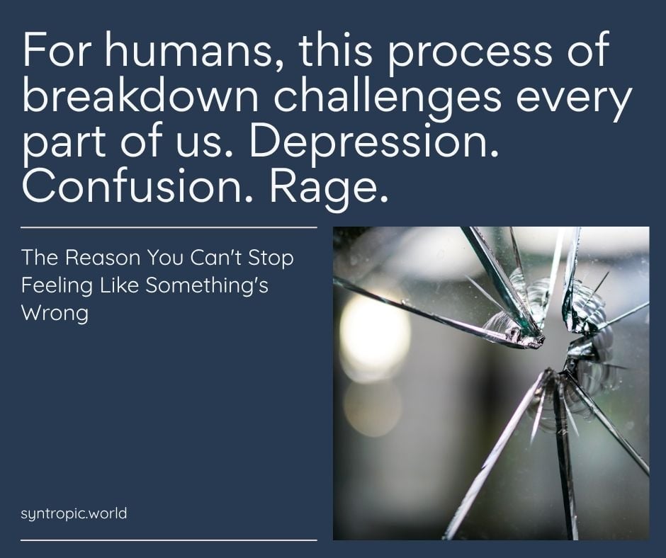 Awareness poster about depression and intense emotions, with shattered glass on the right and the site syntropic.world.