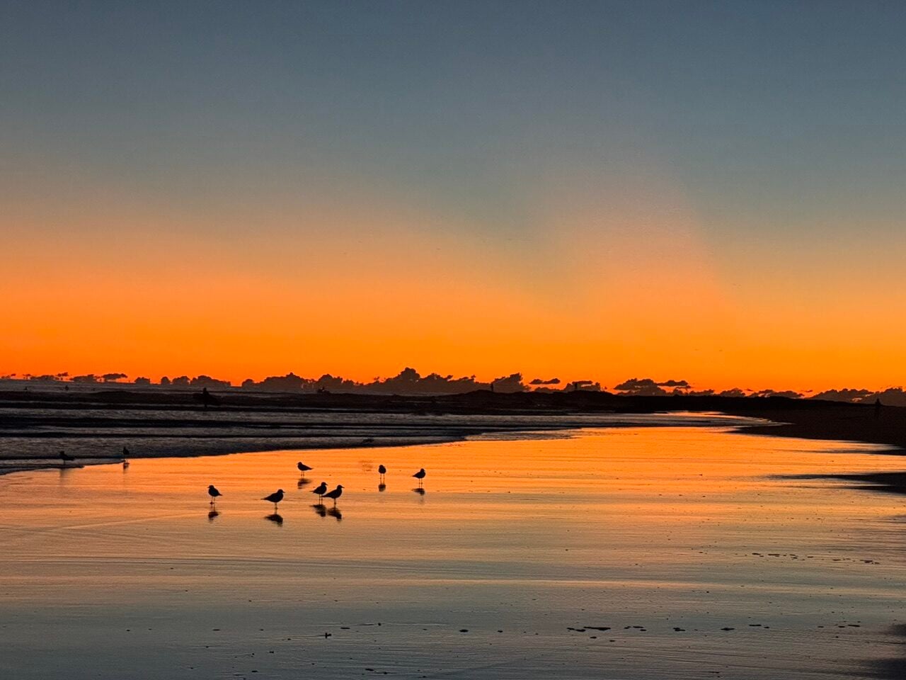 Silhouetted shore at sunset with an orange horizon and small birds wading in a tidal pool.