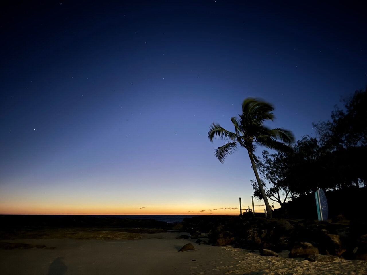 Coastal twilight scene: orange horizon over calm sea with dark palm silhouettes on a rocky shore.