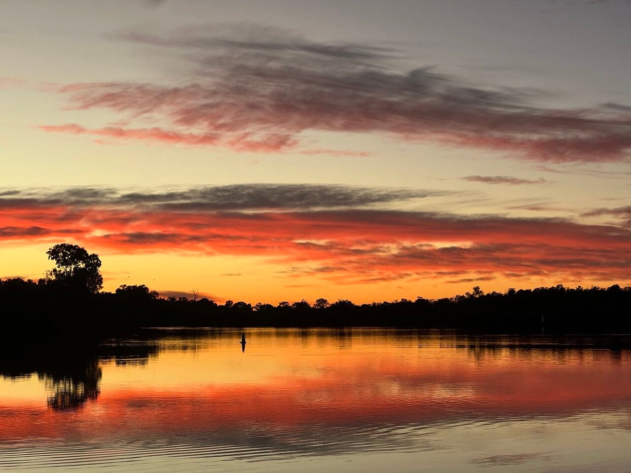 Silhouetted trees along a calm lake at sunset, with an orange-pink sky reflecting on the water's surface.