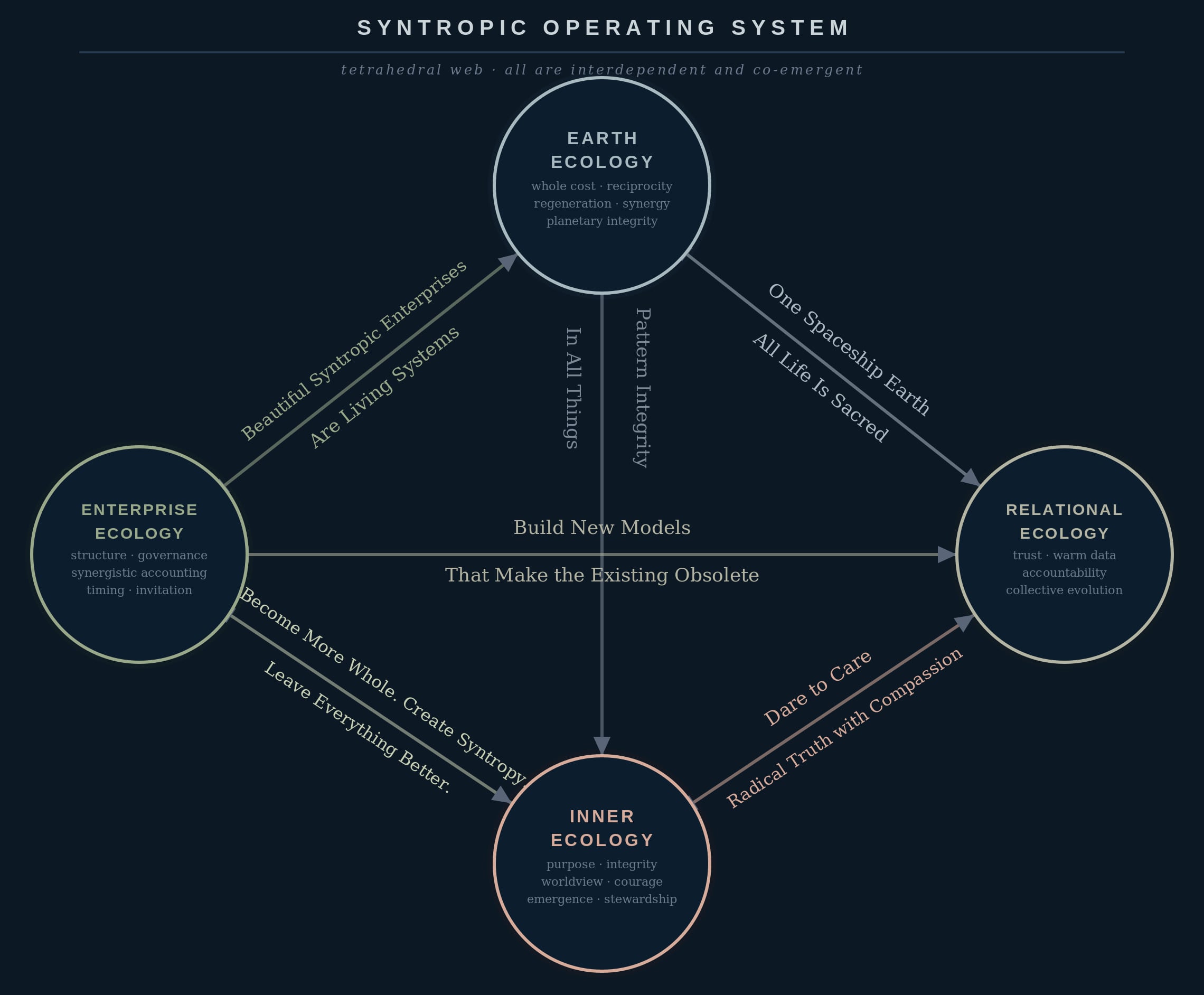 Infographic showing interconnected ecologies: Earth Ecology at top, Enterprise Ecology left, Relational Ecology right, Inner Ecology at bottom, with arrows linking them and labels such as Build New Models.