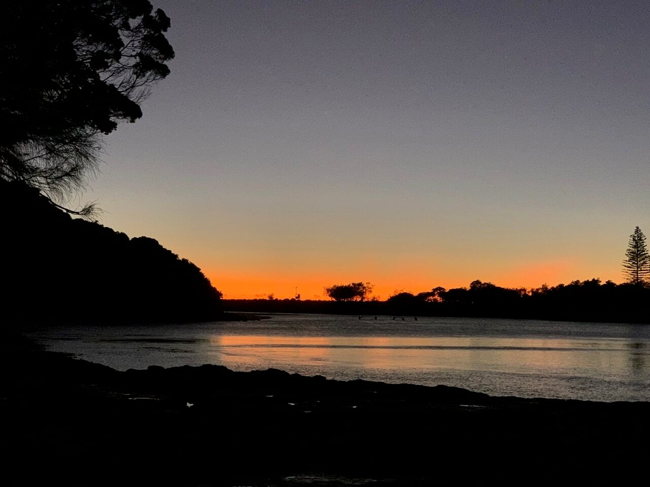 Silhouette of trees along a calm coastline at sunset, orange glow on the horizon reflecting on the water.
