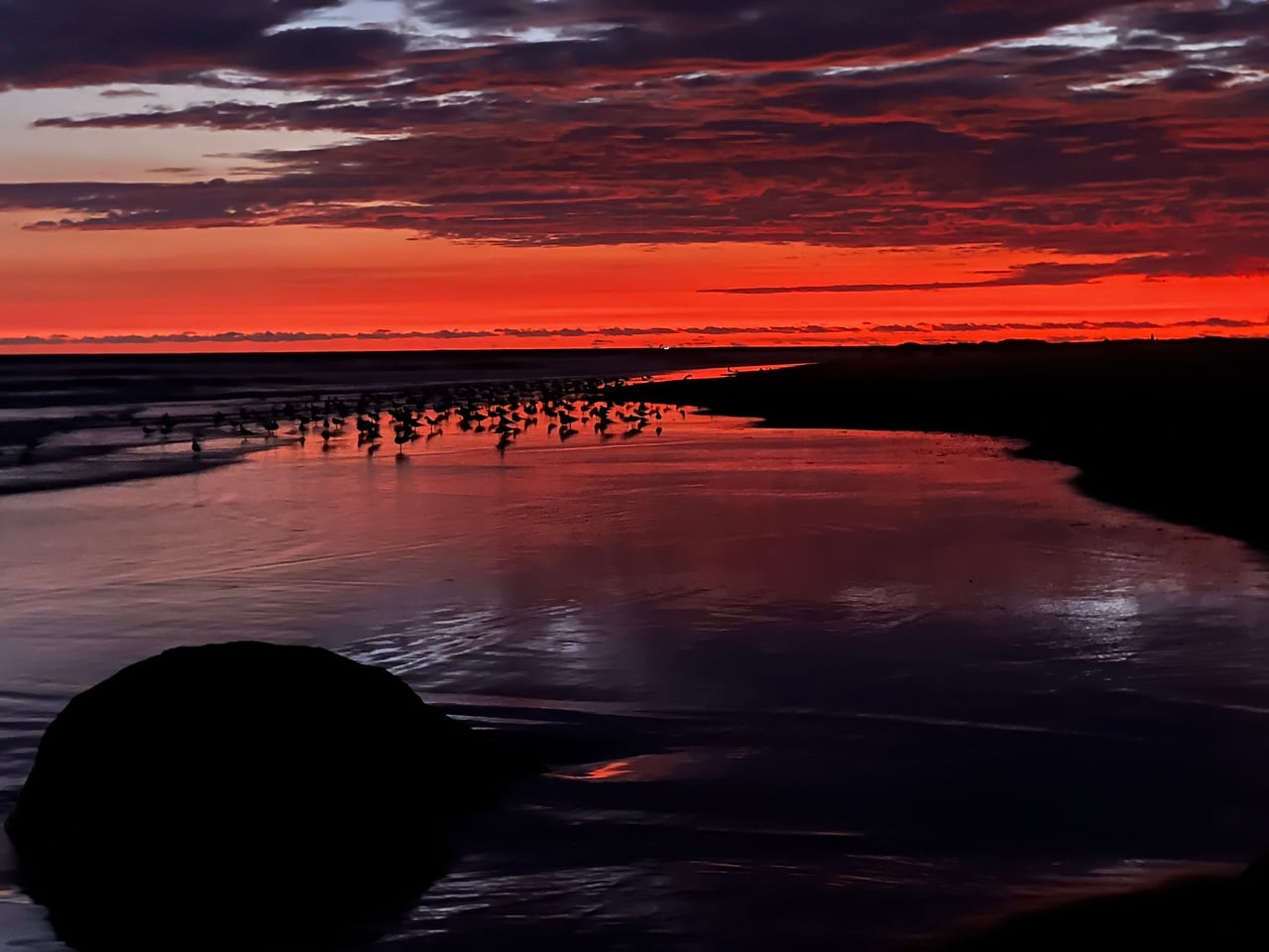 Silhouetted flock of birds along a shoreline at sunset; fiery red-orange sky reflects on wet sand and calm water, with a dark rock in the foreground.