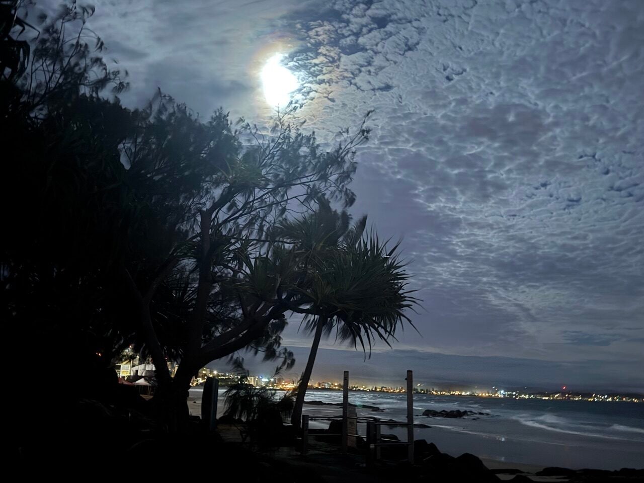 Moonlit beach at night with silhouetted tropical trees, calm water, and distant city lights along the horizon.