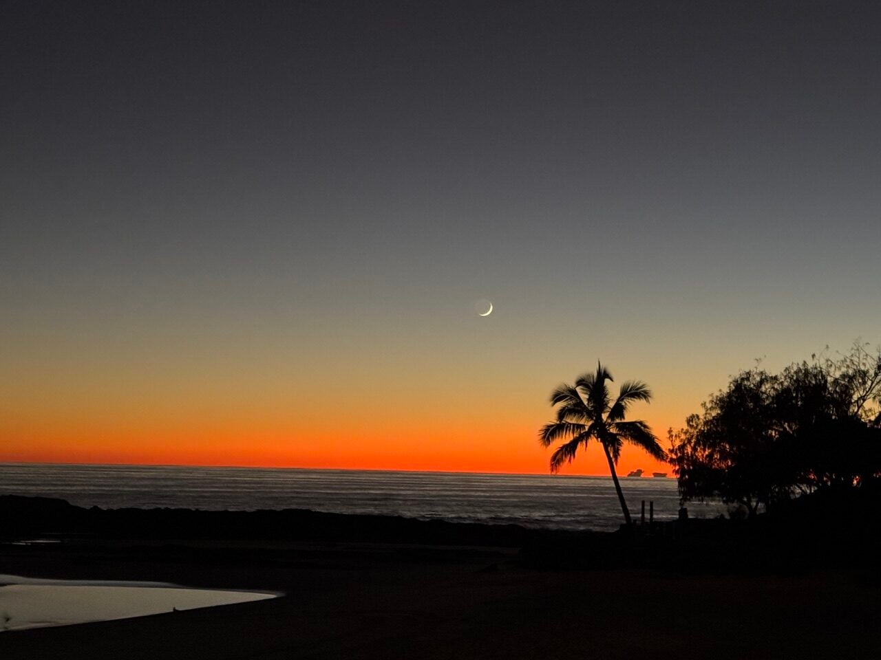 sunrise, palm tree, cresent moon