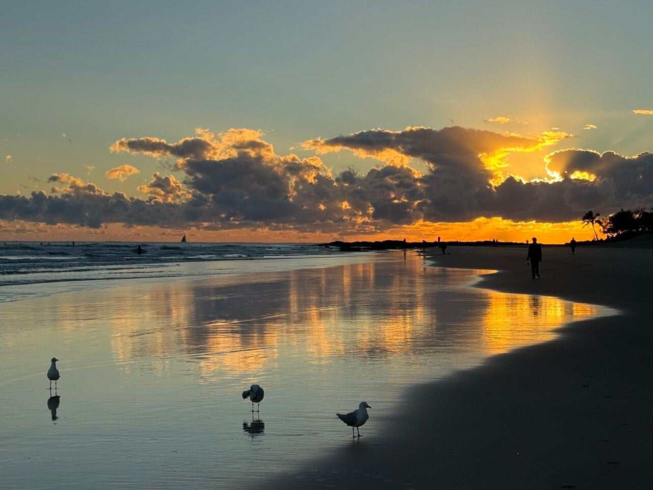 Sunset on a quiet beach with orange clouds reflecting on wet sand and a few seagulls standing near the water.